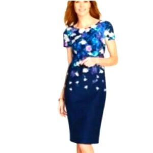 Talbots Dress Cotton Lined Floral Blue Back Zipper Short Sleeve Size 14